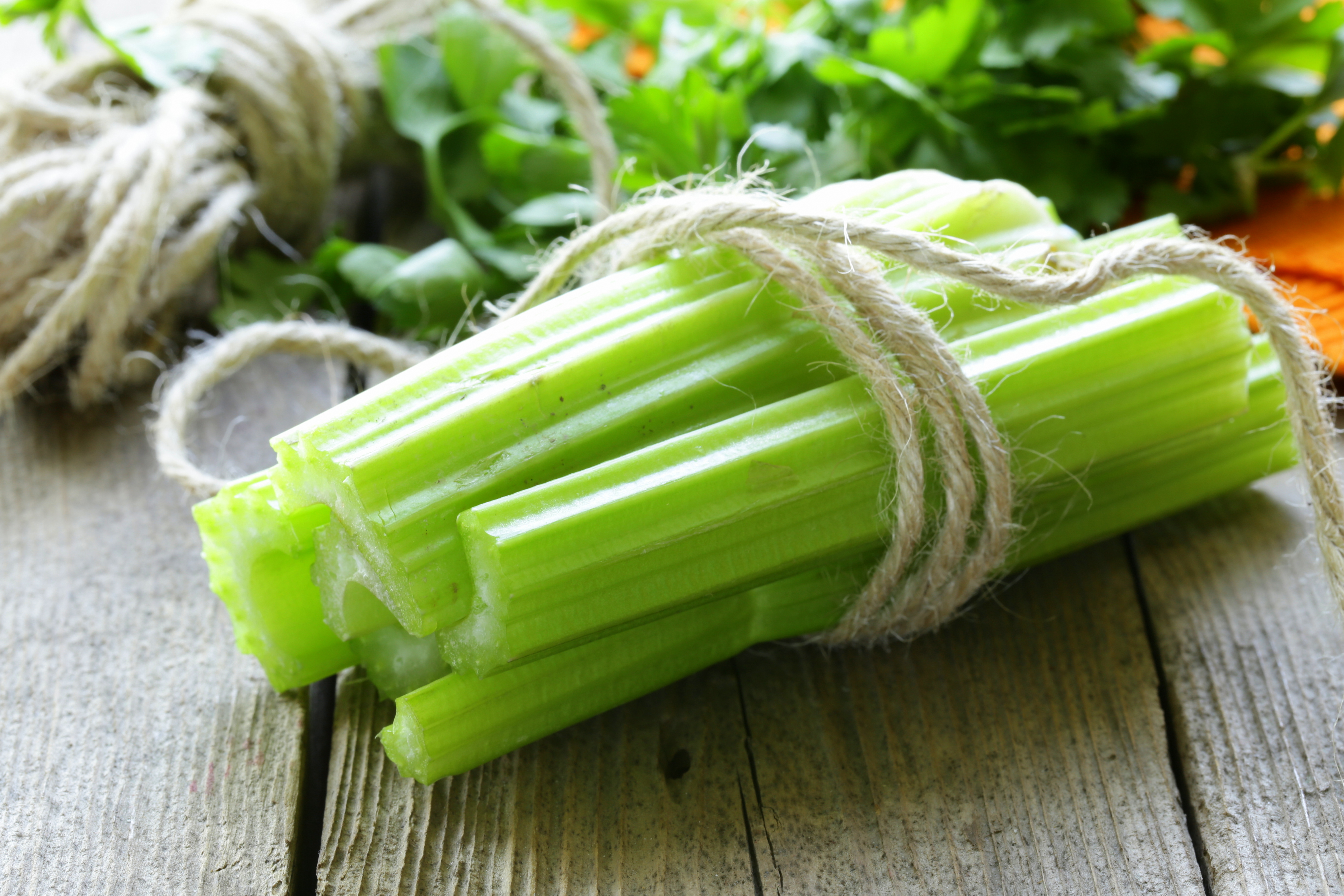 fresh celery stalks bundled with rope